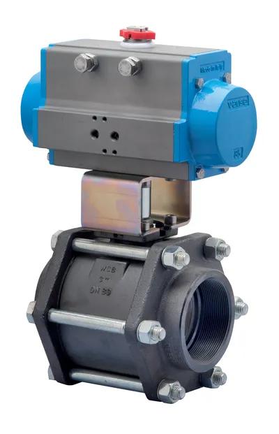 Valbia 8P002800 F/F vap