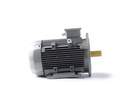Ac Motoren FCPA 132 M 8 /PHE